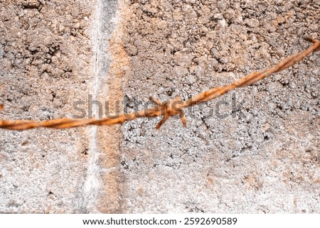 old rusty barbedwire hanging over a grey cement wall