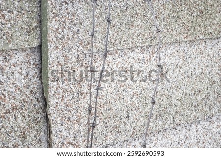 old rusty barbedwire hanging over a grey cement wall