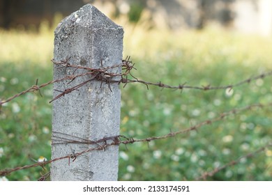 Old Rusty Barbwire On Concrete Pillar That Use For Making Fence. Concept : Security. No Entry. Private Area. Boundary Separation.                          