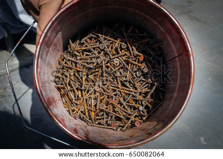 Old rusty bolts and nuts