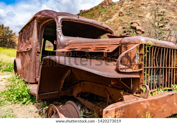 Old rusty car with plants growing from the inside,\
nice brown color