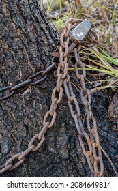 Old and rusty chains converging to the castle located on the background of a birch trunk
