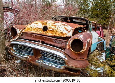 An Old Rusty Circa 1950's Passenger Car Overgrown With Trees In An Auto Wrecker Scrap Yard