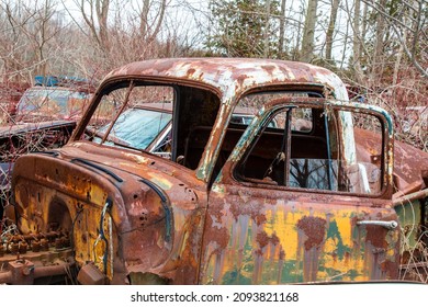 An Old Rusty Circa 1950's Pickup Truck Car Overgrown With Weeds In An Auto Wrecker Scrap Yard