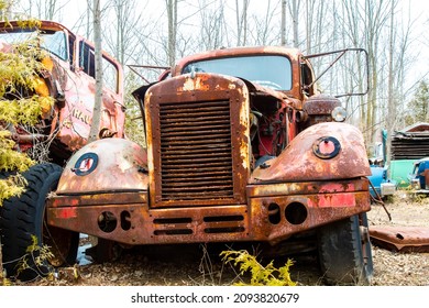 An Old Rusty Circa 1950's Transport Truck Car Overgrown With Weeds In An Auto Wrecker Scrap Yard