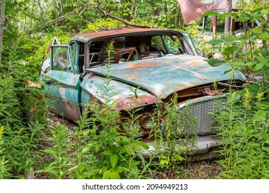 An Old Rusty Circa Late 1950's Sedan Overgrown With Weeds In An Auto Wrecker Scrap Yard