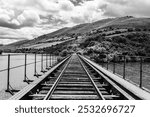 Old rusty closed train tracks leading through the Douro valley towards Porto, Portugal