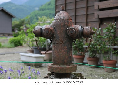 An old rusty fire hydrant stands in a rural village garden.