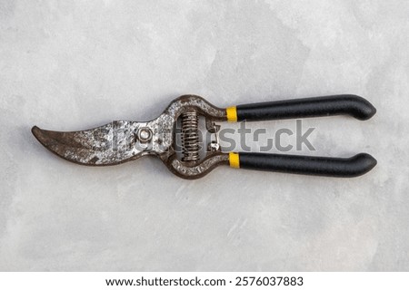Old, rusty gardening pruning scissors with black rubber hand grips, also called pruning shears, hand pruners, or secateurs, are used to remove dead, diseased, or damaged plant parts.