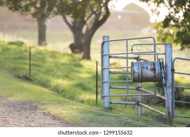 Old Rusty Gate And Letter Box On Farm At Sunset In Australia