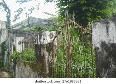 An old, rusty gate stands before a weathered, overgrown wall. Lush greenery bursts through, creating a serene, textured scene. Ideal for background, mood, or vintage
