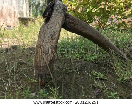 an old, rusty hoe on the ground and weeds