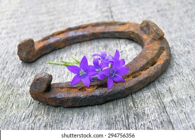 Old Rusty Horseshoe With Flowers Bells On A Wooden Board