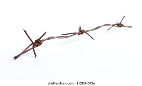 rusty barbed wire