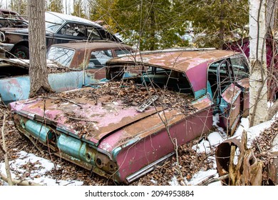 An Old Rusty Mid 1960's Passenger Car Overgrown With Trees In The Snow In An Auto Wrecker Scrap Yard