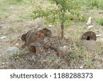 Old rusty pump