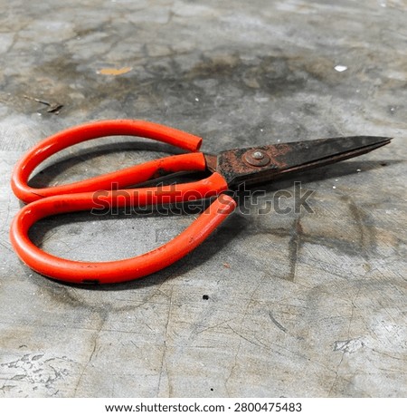Old Rusty Scissors with Red Plastic Handle on Rough Concrete Floor

Close up of vintage rusty scissors with bright red plastic handle lying on a rough textured concrete floor. The damaged and aged tool represents decay, vintage hardware, and grunge industrial concept.