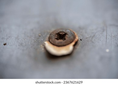 Old rusty screw, close up