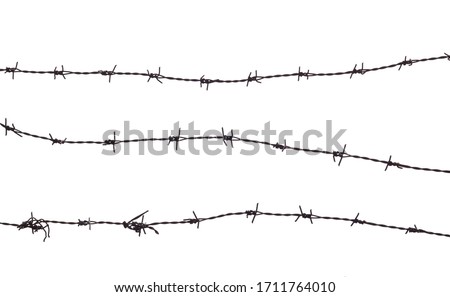 Old rusty security barbed wire fence isolated on white background and texture