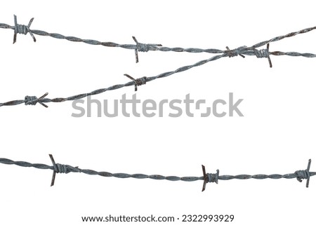 Old rusty security barbed wire fence isolated on white background and texture.