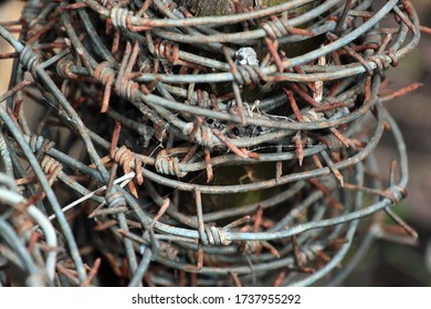 Old Rusty Tangled Barbed Wire