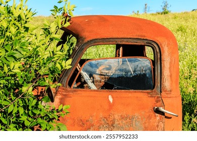 An old rusty truck with a broken window sits in a field. The view from the window is obscured by the tree branches - Powered by Shutterstock