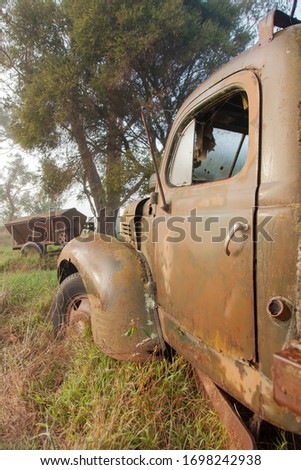 Old rusty truck door and front left fender, laying on a farm amongst tall grass and trees.