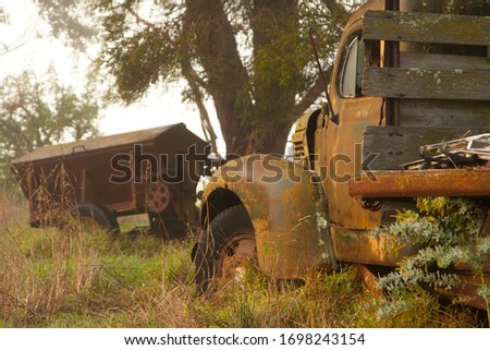 Old rusty truck laying on a farm amongst tall grass and trees.