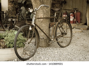 Old Rusty Vintage Bike Near Big Tree Trunk. Rural Areas. Aged Photo Style.