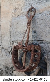 Old And Rusty Wolf Trap Hanging On The Wall.