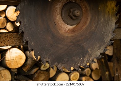 Old Saw Blade In Fire Wood Pile