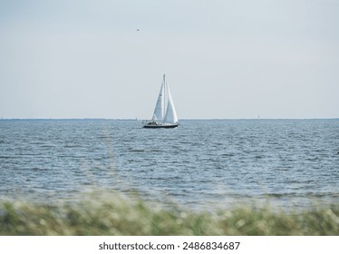 Old Saybrook, CT, USA, Sailboat on the Long Island Sound off Connecticut on a summer day with sea grass in the foreground sailing on the ocean - Powered by Shutterstock