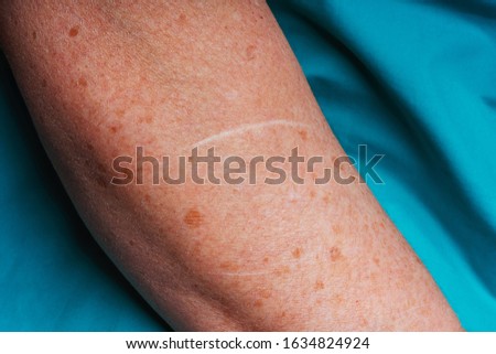 Similar – Image, Stock Photo Serenity in stitches. Elderly Asian woman knits at home.