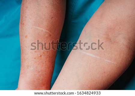 Similar – Image, Stock Photo Serenity in stitches. Elderly Asian woman knits at home.