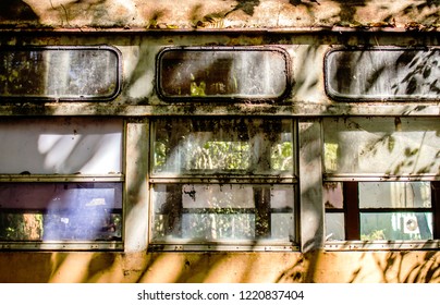 Old school bus and rust