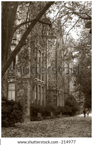 Similar – Hamburg Tree Trunk Umwelt