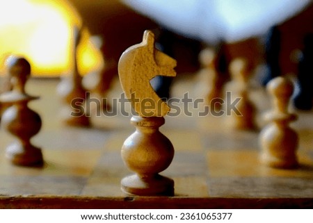 old school wooden chess knight, close up