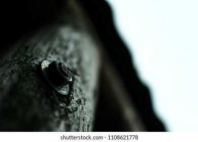 Old Screw And Nut In Grunge Wood Pilar Beam Out Of Old Vintage Wood With Rust And Corrosion