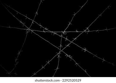 Old security barbed wire isolated on black background. Sharp military security fence. Closeup image. crossed Lines of barbed wire on black background. concentration camp - Powered by Shutterstock
