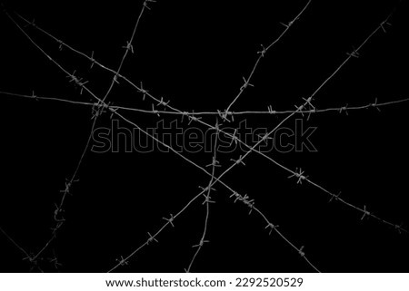 Old security barbed wire isolated on black background. Sharp military security fence. Closeup image. crossed Lines of barbed wire on black background. concentration camp Foto d'archivio © 