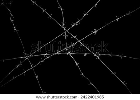Old security barbed wire isolated on black background. Sharp military security fence. Closeup image. crossed Lines of barbed wire on black background. concentration camp