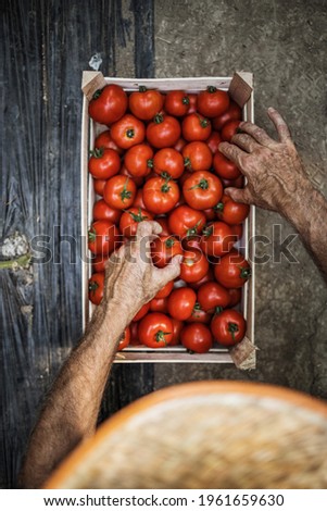 Similar – Image, Stock Photo Senior hands sorting fresh vegetables into wooden crate