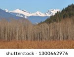 The Old Settler mountain range found in southern British Columbia, Canada