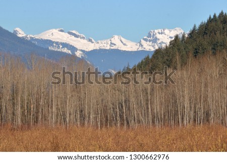 The Old Settler mountain range found in southern British Columbia, Canada's Bear Creak region of the Fraser Valley. 
