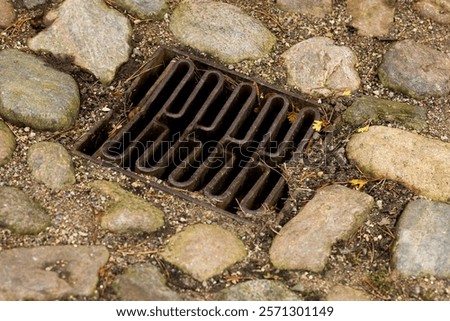 Similar – Image, Stock Photo Cobblestone with moss, autumnal