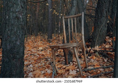 An old shabby chair, standing in the middle of the autumn forest, strewn with dry leaves among the trees. Discarded vys, broken chair, garbage.