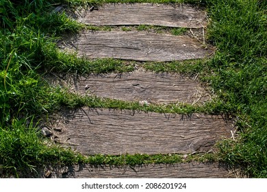 Old Shabby Planks On Backyard Terrace Floor Landscaped From Wooden Path Among Green Grass Illuminated By Sunlight, Close-up Surface Top View.