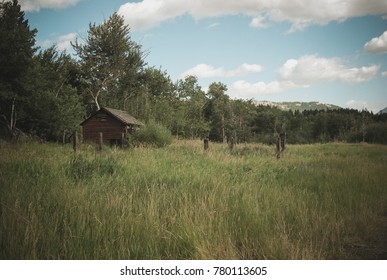 An Old Shack