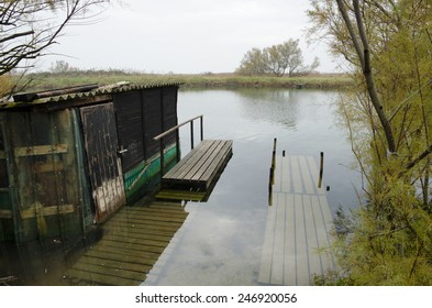 Old Shack In The Swamp