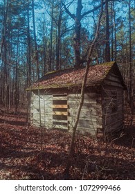 An Old Shack In The Woods